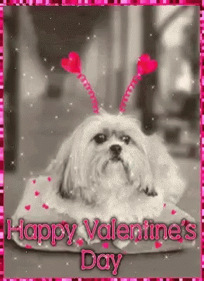 Happy Valentine's Day Dog Sparkle GIF