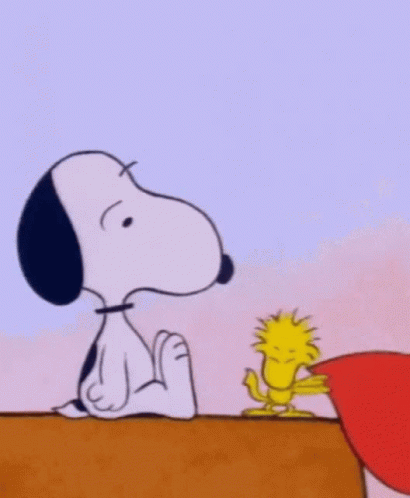 Happy Valentines Day Snoopy And Woodstock GIF