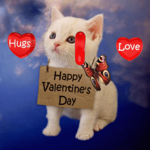 Happy Valentines Kitty Love And Hugs GIF