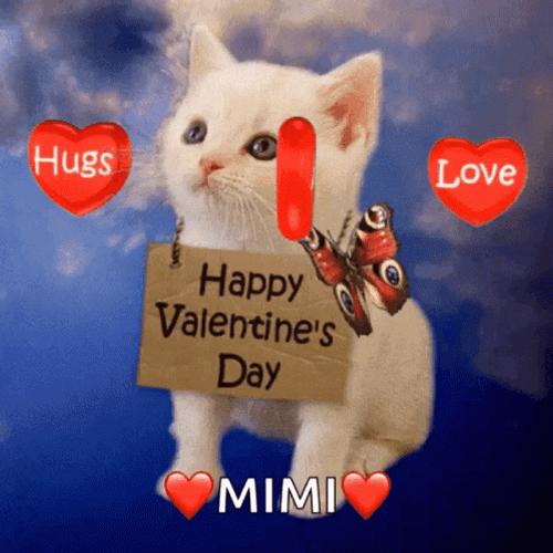 Happy Valentines Adorable White Kitty GIF