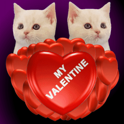 Happy Valentines Day Cat Sisters Spinning Heart GIF