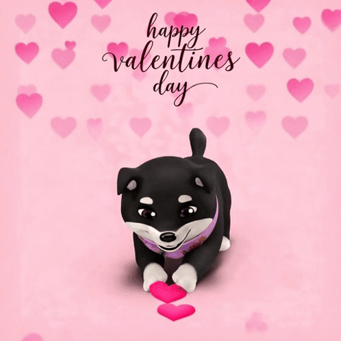 Happy Valentines Day Dog Wearing Bandana GIF