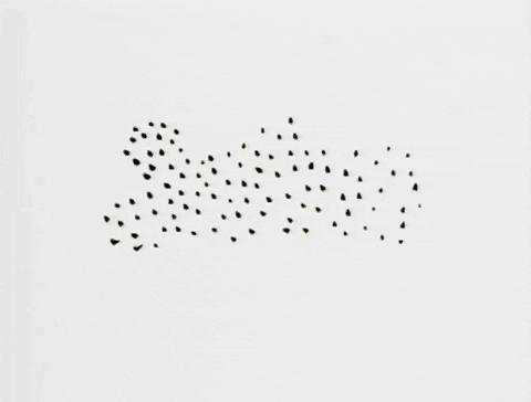 Happy Valentines Day Sisters Flickering Mobile Design GIF