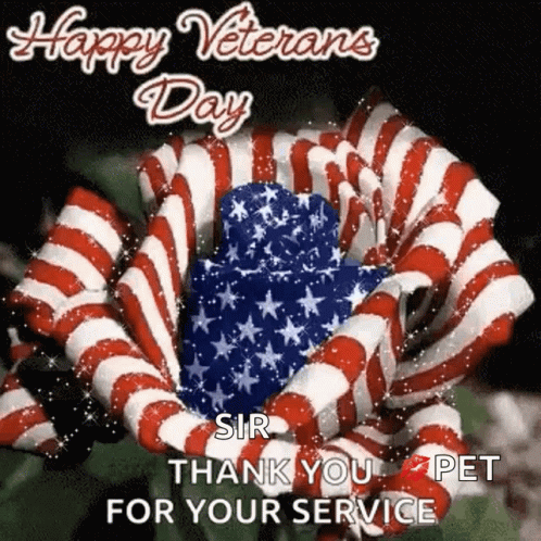 Happy Veterans Day Card with American Flag Flower