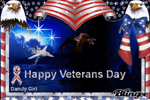 Happy Veterans Day Eagles and Plane