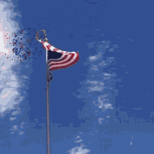Happy Veterans Day Fireworks Animation GIF