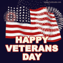 Happy Veterans Day Flag And Fireworks GIF