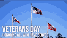 Happy Veterans Day Greeting Honors GIF