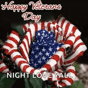 Happy Veterans Day Night Love Yall American Flag Rose