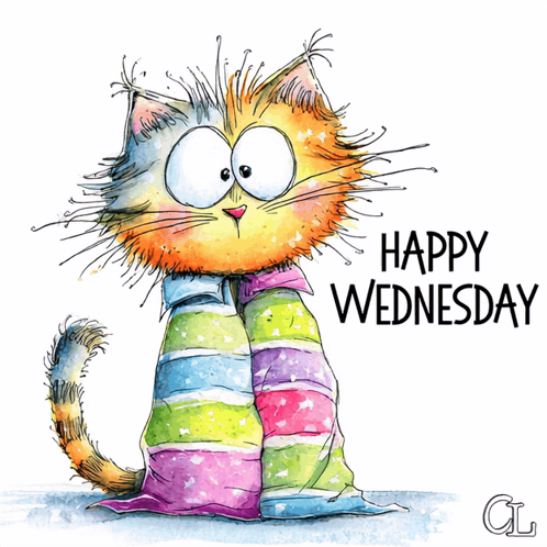 Happy Wednesday Cat Wrapped in Striped Blanket