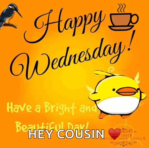 Happy Wednesday Cousin GIF