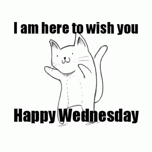 Happy Wednesday Meme GIF
