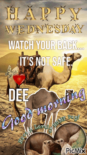Happy Wednesday Watch Your Back