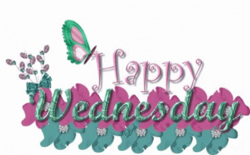 Happy Wellness Wednesday GIF