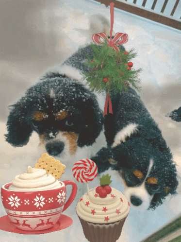 Happy Winter Saturday A Dog Gift GIF