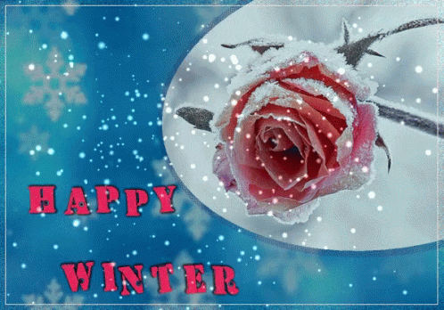 Happy Winter Saturday Pink Rose GIF