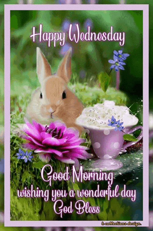 Happy Wonderful Wednesday Good Morning Rabbit GIF | GIFDB.com