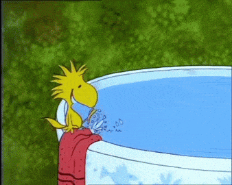 Happy Woodstock Is Cold On Snoopy Birthday GIF