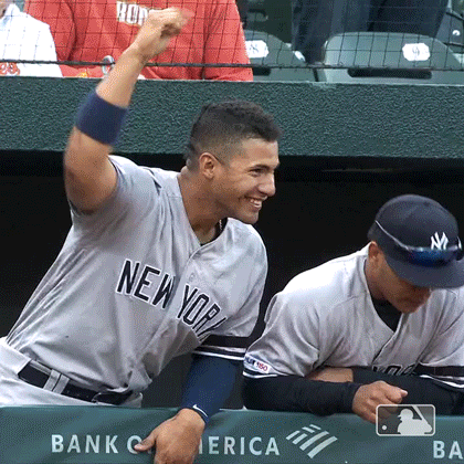 Happy Yankees Player After A Win GIF