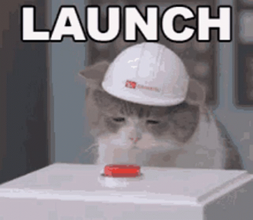 Hard Hat Cat Pressing Button Under Launch