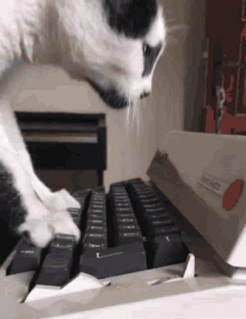 Hard Typing Cat On Old Keyboard GIF