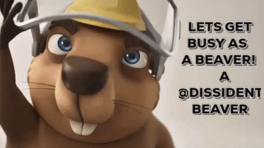 Hard Working Beaver Getting Busy GIF