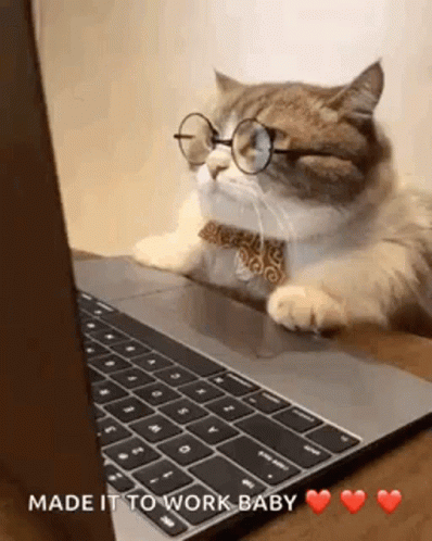 Hardworking Cat Wearing Eyeglasses GIF