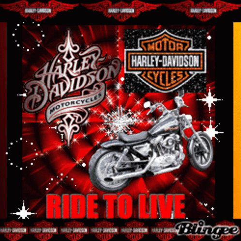 Harley Davidson Motorcycle On Red Background Ride To Live GIF