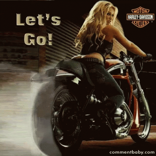 Harley Davidson Motorcycle Parked In Front Of Garage GIF