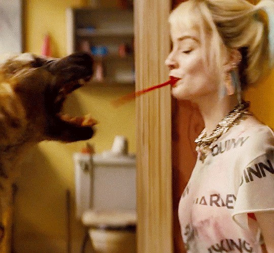 Harley Quinn Feeding Dog GIF