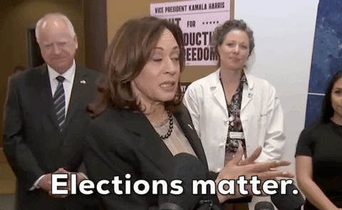 Harris Walz Elections Matter GIF