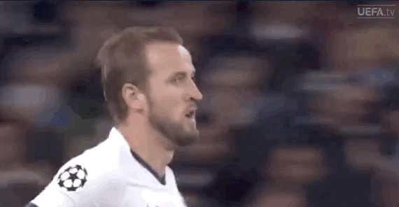 Harry Kane Cheering The Crowd GIF