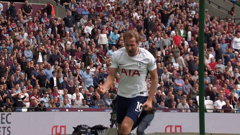 Harry Kane Closed Fist GIF