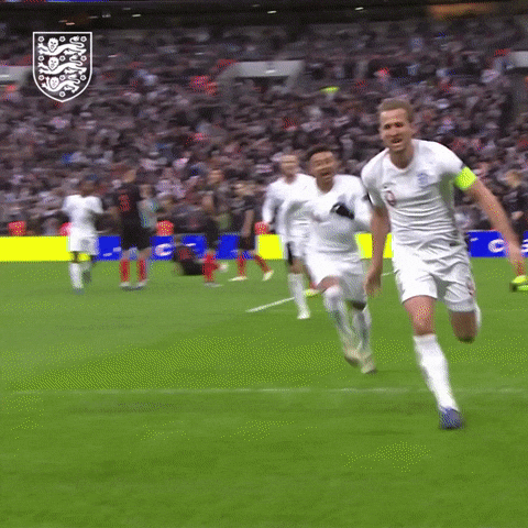 Harry Kane Hugged By Teammates GIF