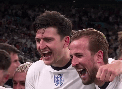 Harry Kane Joyful Celebration With Teammates GIF