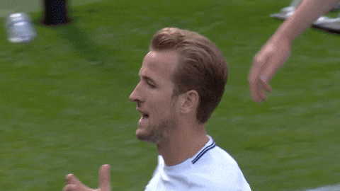 Harry Kane Looking At The Sky GIF