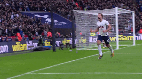 Harry Kane Running After Scoring Goal GIF