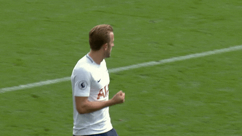 Harry Kane Two Hand High Five With Teammate GIF