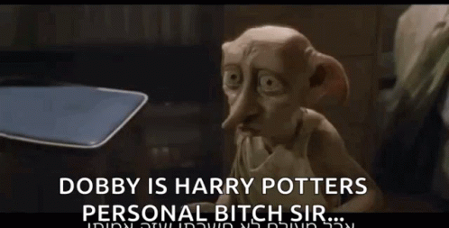 Harry Potter And Dobby Is Free On Friday GIF