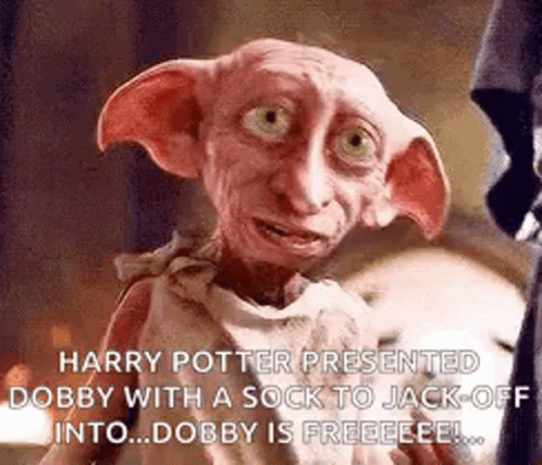 Harry Potter And Dobby Is Free GIF