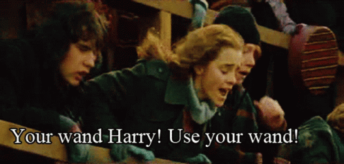 Harry Potter And Hermione Granger Use Your Wand Harry GIF