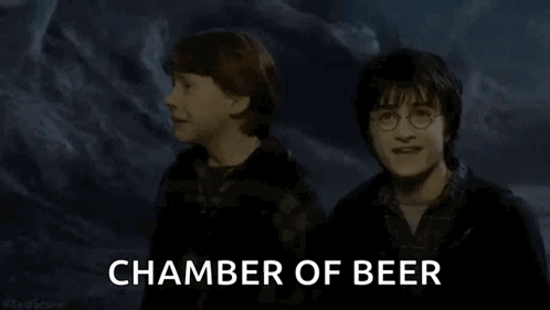 Harry Potter And Ron Weasley Are Standing Next To Each Other In A Dark Room . GIF