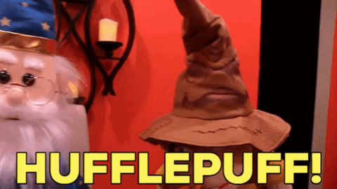 Harry Potter Costume Saying Hufflepuff in Yellow