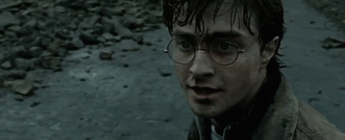 Harry Potter Defeat Voldemort GIF