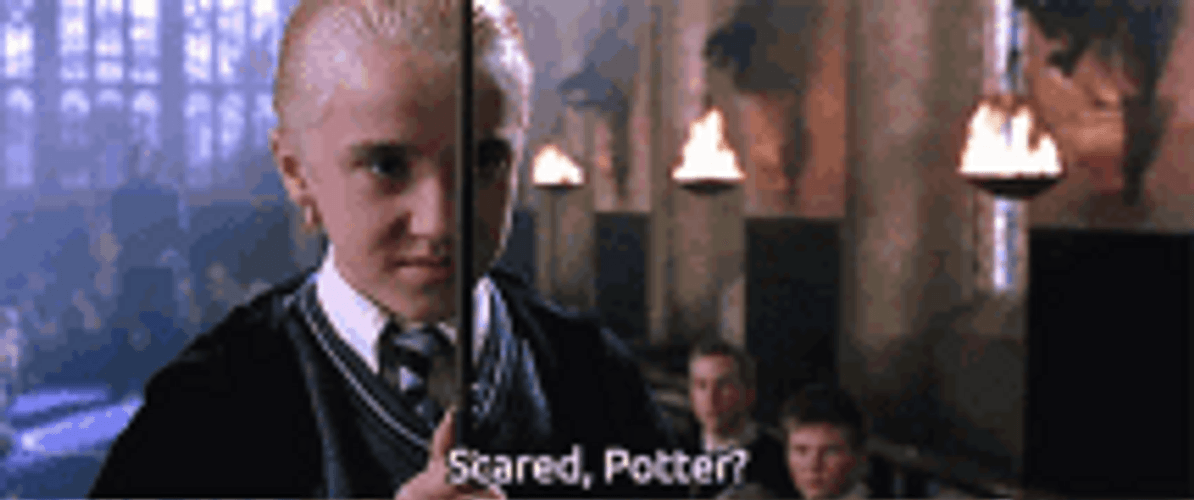 Harry Potter Draco Scared Potter GIF