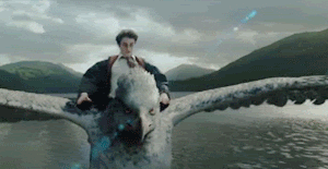 Harry Potter Excited To Fly GIF
