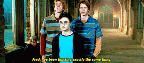 Harry Potter George And Fred Weasley GIF