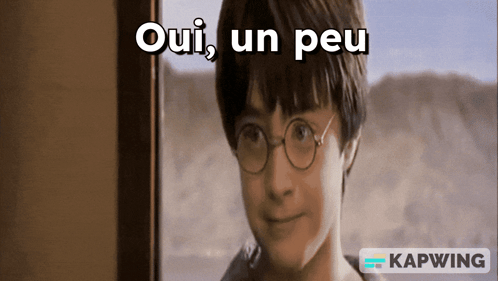 Harry Potter Oui Un Peu GIF