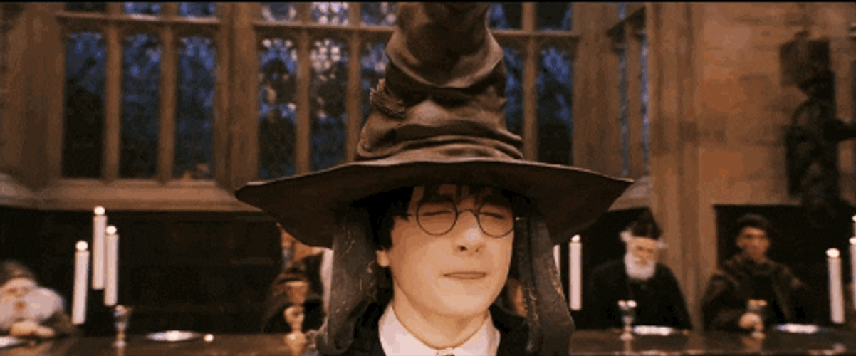 Harry Potter Sorting Hat Gryffindor GIF