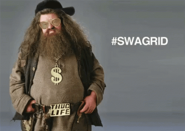 Harry Potter Swagrid Thug Life GIF